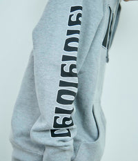 EAGLES DARE HOODY // GRAY